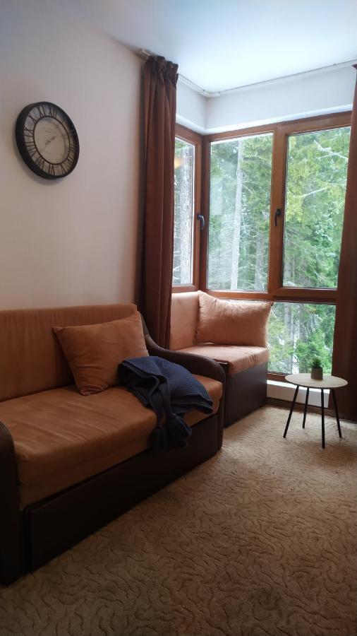 Elitsa Apartment Pamporovo Exterior photo